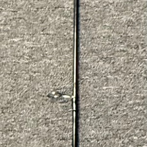 Penn Battle II Rod