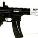 Smith & Wesson M&P15-22