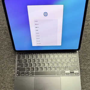 APPLE IPAD PRO 13" (256GB)